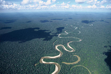 Ucayali, Perú / ©: André Bärtschi / WWF-Canon rel=