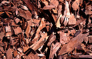 Eucalyptus wood chips. Biomass from forestry and farming has the potential to become a major source ... / ©: Michèle Dépraz / WWF-Canon / ©: Michèle Dépraz / WWF-Canon