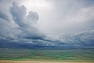  / &copy;: Martin Harvey / WWF Canon