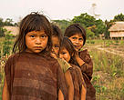 Niños Ashaninka con su ropa tradicional. Dulce Gloria, Río Yurua, Provincia Ucayali. Perú