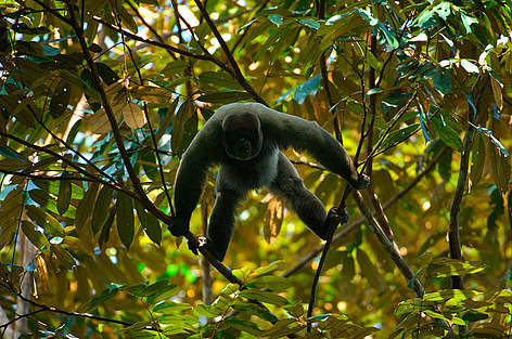 Parque nacional Juruena, Brasil / ©: Zig Koch / WWF rel=