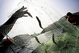 Net de Pescar, Perú / ©: Brent Stirton / WWF Perú / ©: Brent Stirton / WWF Perú