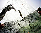 Fishing net, Peru