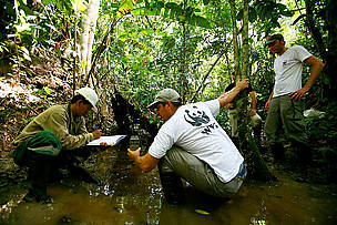 WWF Perú en la Amazonía / ©: Brent Stirton / WWF Perú / ©: Brent Stirton / WWF Perú