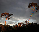 Sunset on the Corrientes river, a tributary of the Amazon river, Peru