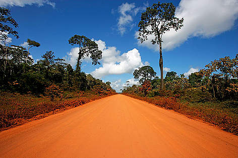 Carretera, Madre de Dios, Perú / ©: Brent Stirton / Getty Images / WWF rel=