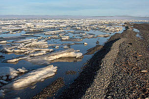 Sea ice in the Beaufort Sea.