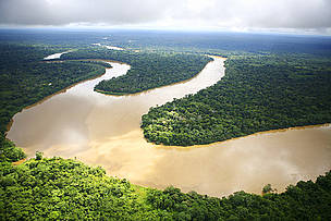 La imponente Amazonia / ©: Brent Stirton/ Getty Images / WWF-UK / ©: Brent Stirton/ Getty Images / WWF-UK