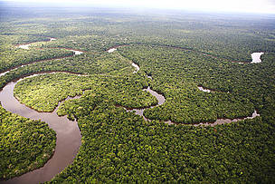 La selva Amazónica, Región de Loreto, Perú / ©: Brent Stirton / WWF Perú / ©: Brent Stirton / WWF Perú