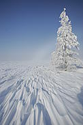  / &copy;: David Jenkins / WWF-Canada