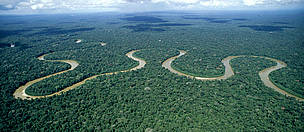 Rio Pinquen, Manu National Park, Amazon Rainforest, Peru. / ©: WWF-Canon / André BÄRTSCHI Rio Pinquen, Manu National Park, Amazon Rainforest, Peru. / ©: WWF-Canon / André BÄRTSCHI