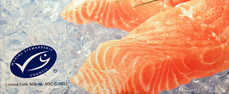 An MSC label on a package of frozen salmon indicates that it is certified sustainable seafood. / ©: WWF-Canon / Elma Okic An MSC label on a package of frozen salmon indicates that it is certified sustainable seafood. rel=