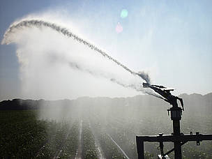 Irrigation equipment pumps water over a corn field.  