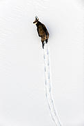  / &copy;: Wild Wonders of Europe /Erlend Haarberg / WWF