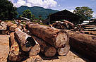  / &copy;: John E. Newby / WWF-Canon