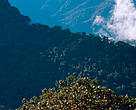 Parque Abiseo