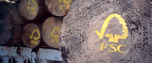 FSC logo painted on sustainably harvested logs. Uzachi forest, Oaxaca, Mexico / ©: N.C. Turner / WWF-Canon FSC logo painted on sustainably harvested logs. Uzachi forest, Oaxaca, Mexico / ©: N.C. Turner / WWF-Canon