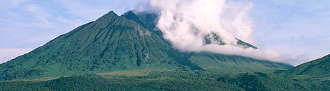 Sabinyo volcano and thick forest, habitat of the endangered Mountain gorilla in Virunga National ... / ©: Martin Harvey / WWF-Canon rel=