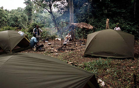 WWF Camp in Minkebe / ©: Michel Gunther / WWF Canon rel=