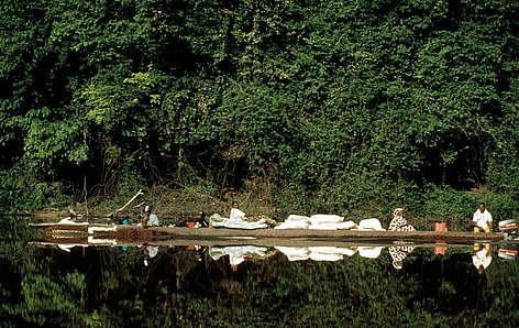 Pygmy pirogue on the Ivindo river. Minkébé Forest, Gabon / ©: Michel Gunther / WWF Canon rel=