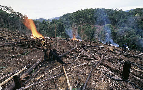 Perú / ©: André Bärtschi / WWF-Canon rel=