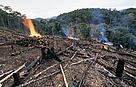  / &copy;: WWF-Canon / André Bärtschi