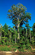  / &copy;: WWF-Canon / André BÄRTSCHI