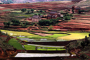 Rice terraces High Plateau, Madagascar / ©: Olivier LANGRAND / WWF / ©: Olivier LANGRAND / WWF
