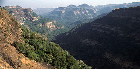 Bor Ghat Forest, Western Ghats, India. / ©: Mauri Rautkari / WWF-Canon rel=
