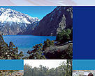 Cover of Wetland Folder