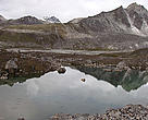 WWF Bhutan/Wetland