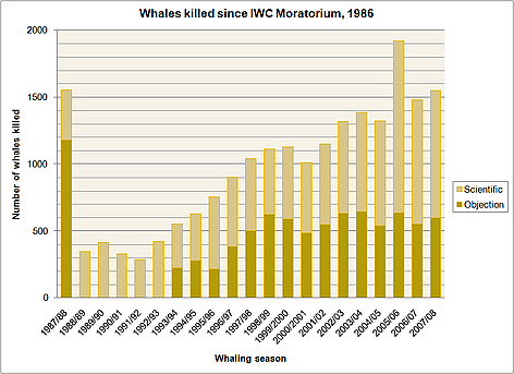 Whales killed since IWC moratorium. 1986 - 2008. rel=