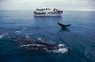  / &copy;: WWF-Canon / Jürgen Freund