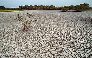 Severe droughts might double in South-Asia over the coming years. / ©: WWF-Canon / Roger LeGUEN / ©: WWF-Canon / Roger LeGUEN