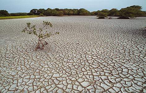  / &copy;: WWF-Canon / Roger LeGUEN