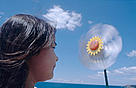 The power of wind. / ©: WWF-Canon / Adam Oswell / ©: WWF-Canon / Adam Oswell