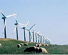 The International Conference for Renewable Energies underway in Germany must lead the world forward on renewable energy.<BR>