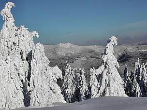 Očekuje se smanjenje snežnog prekrivača i dužine zimskog perioda, što utiče na rezerve vode u ... / ©: WWF DCP RO / ©: WWF DCP RO