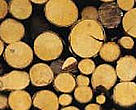 Biomass-based energy can offer a new opportunity for sustainable development in the region.