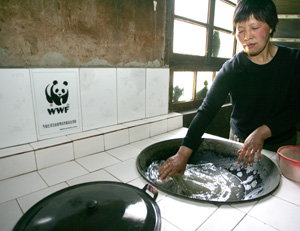 A local woman cleans her new wood saving stove. The new stoves save forests as significantly limit ... / ©: WWF China Wood saving stove. / ©: WWF China