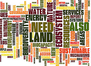Key terms used in the 2010 Living Planet Report