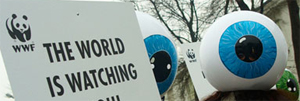 WWF campaigning at the UN Climate Change Conference, Poznan, Poland, December 2008. / ©: Slawek Jankowski / WWF International / ©: Slawek Jankowski / WWF International