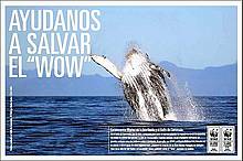 Ayúdanos a salvar el WOW / ©: WWF Chile Ayúdanos a salvar el WOW / ©: WWF Chile