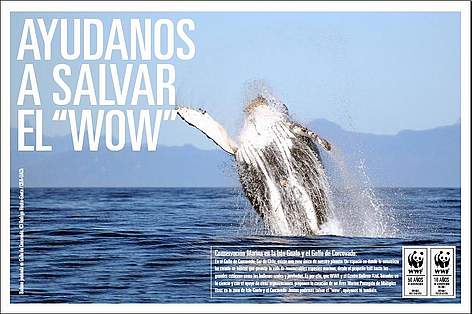 Ayudar a salvar el / ©: WWF Chile