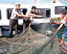 Indonesian police confiscating humphead wrasse from a fishing boat near the Bunaken National Marine Park.