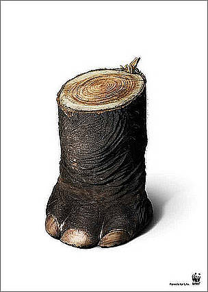  / &copy;: WWF?