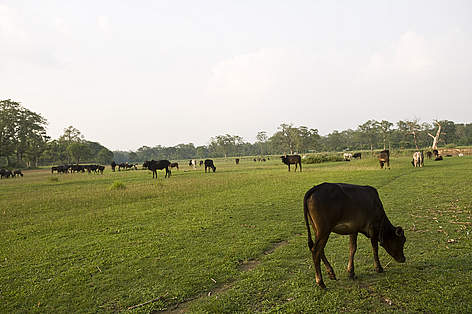  / &copy;: Simon de Trey White / WWF-UK