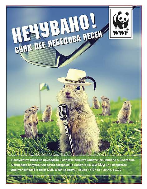 WWF print ad with ground squirrel for individual fundraising campaign 2011 in Bulgaria / ©: Ogilvy Sofia WWF print ad with ground squirrel for individual fundraising campaign 2011 in Bulgaria / ©: Ogilvy Sofia