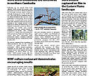 WWF Cambodia Newsletter, Apr-Jun 2009