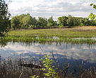 Natural flooding occurs on Tataru Island, creating rich feeding, breeding and spawning grounds for fish, flora and fauna.